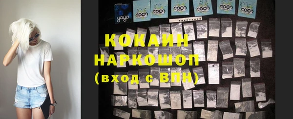 дживик Кинешма