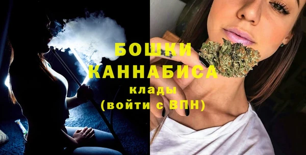 дживик Кинешма