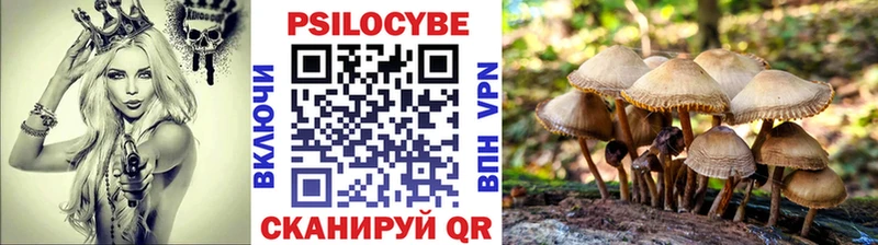 Псилоцибиновые грибы мухоморы  Купить закладки  Горбатов 